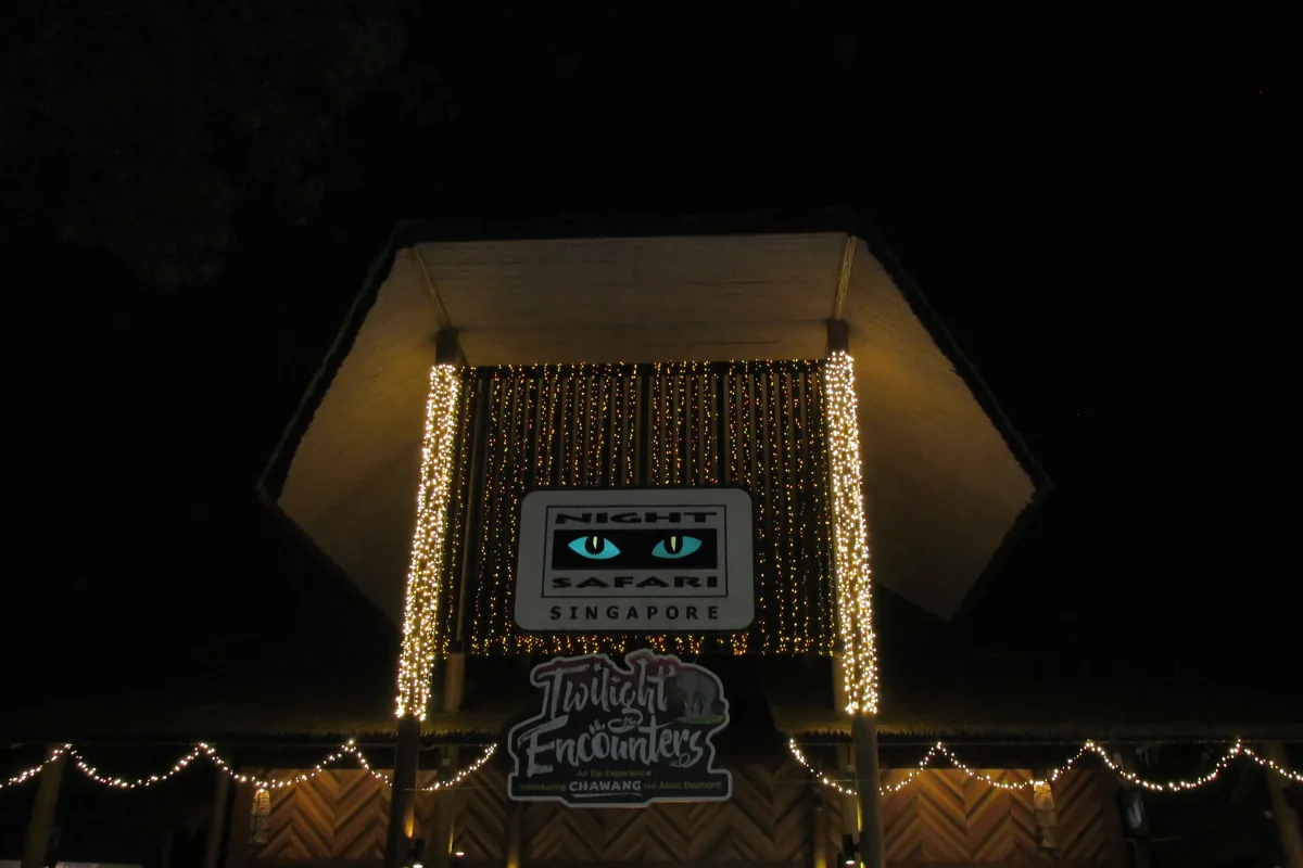 The entrance pavilion of the Night Safari in Singapore after dark, with a lit roof, strings of lights and a blue sign above the entrance