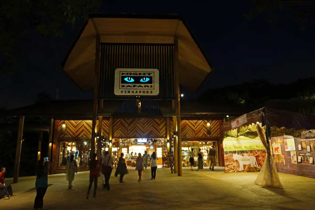 The lit entrance of the Night Safari at night, with a pitched roof, a blue sign and people walking towards the entrance
